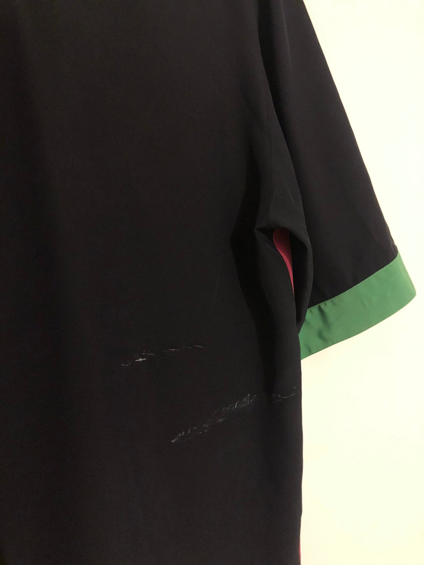 Camicia bicolor L